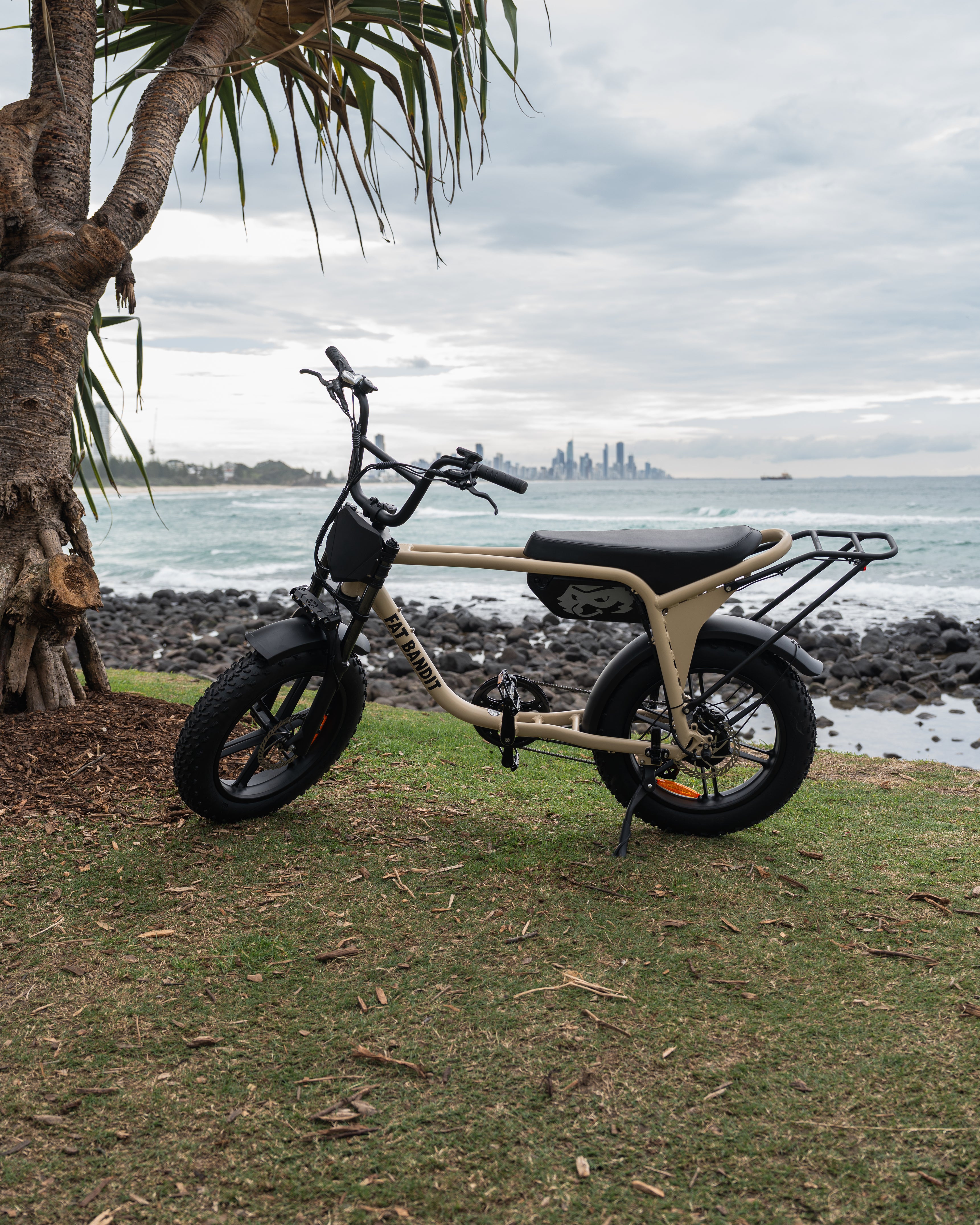 Fat Bandit Electric Bike