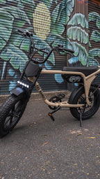 Fat Bandit Electric Bike
