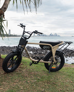 Fat Bandit Electric Bike