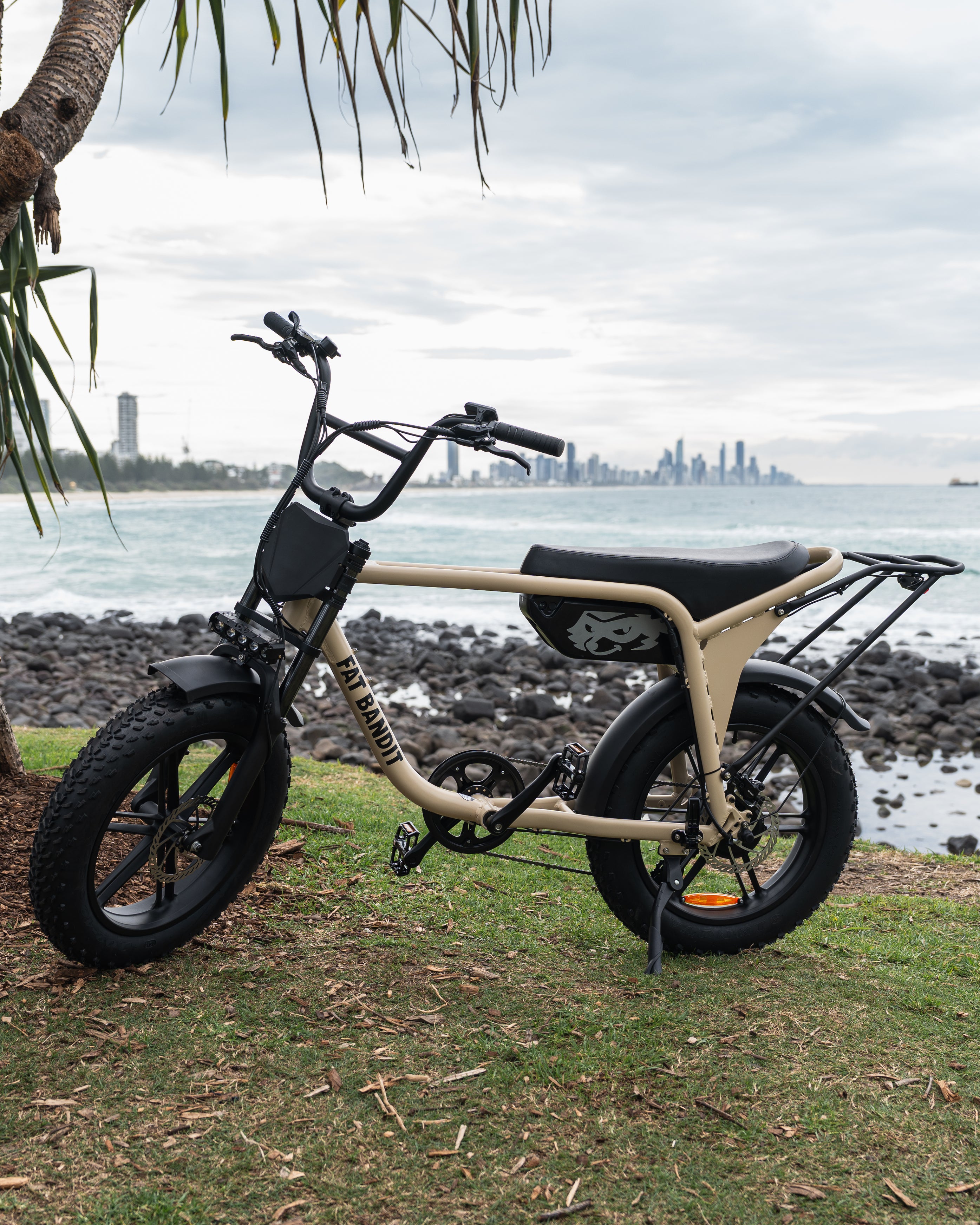 Fat Bandit Electric Bike