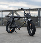 Fat Bandit Electric Bike