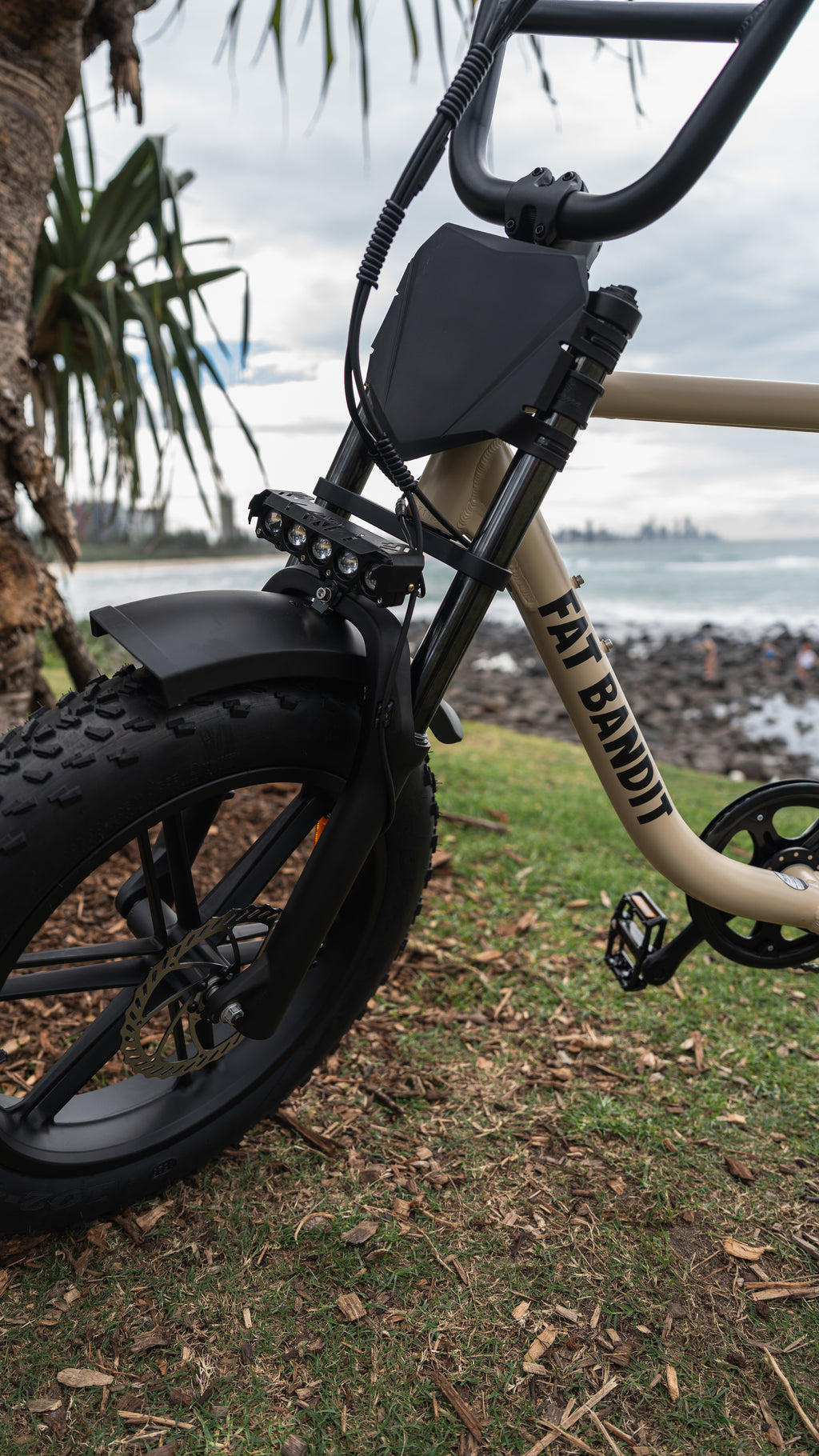 Fat Bandit Electric Bike