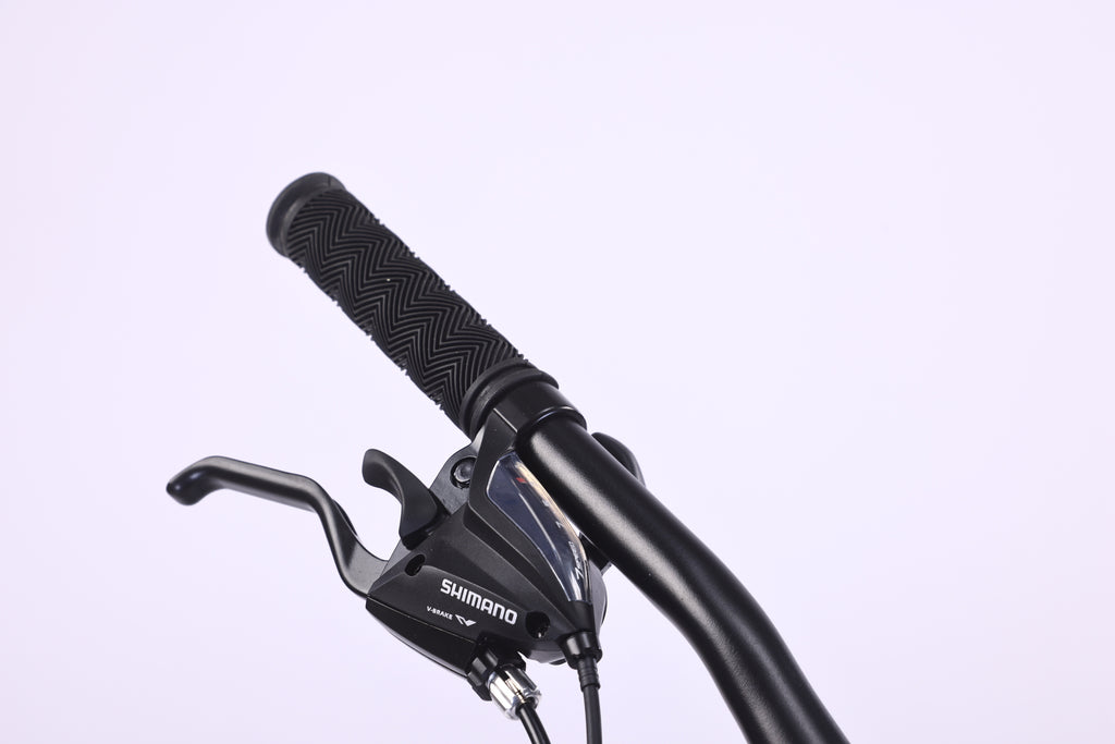 6725 29-Inch Mountain Bike