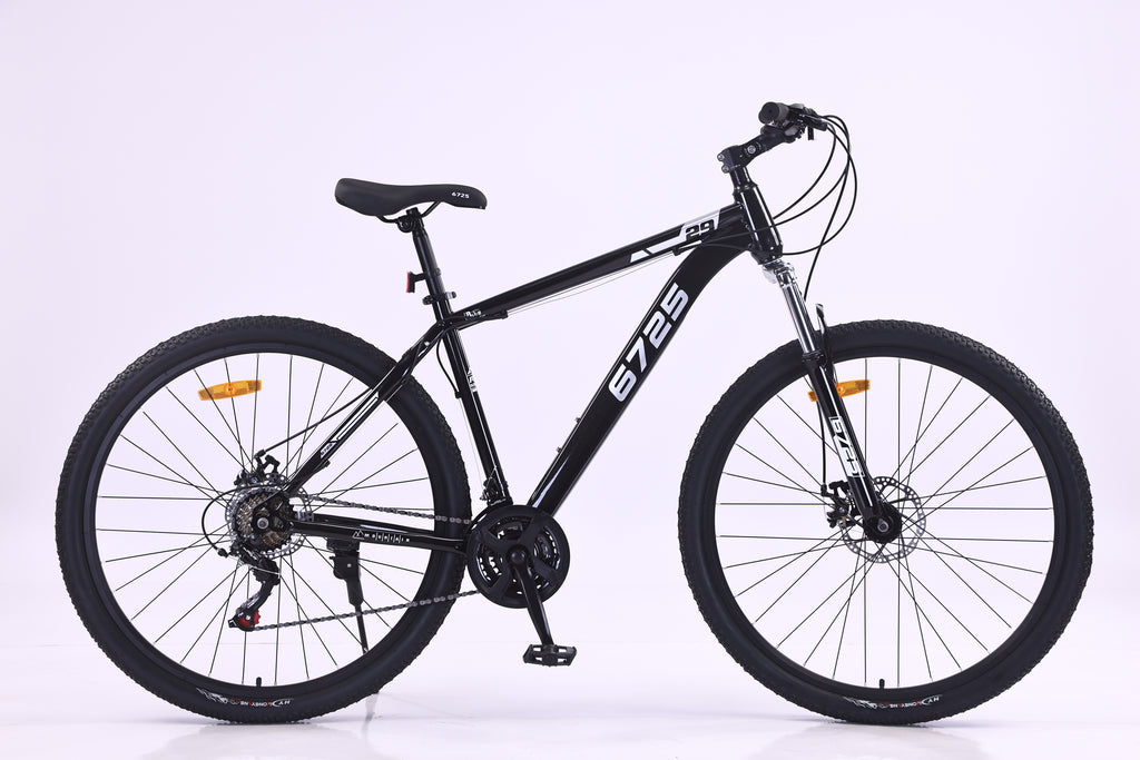 6725 29-Inch Mountain Bike