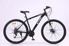 6725 29-Inch Mountain Bike
