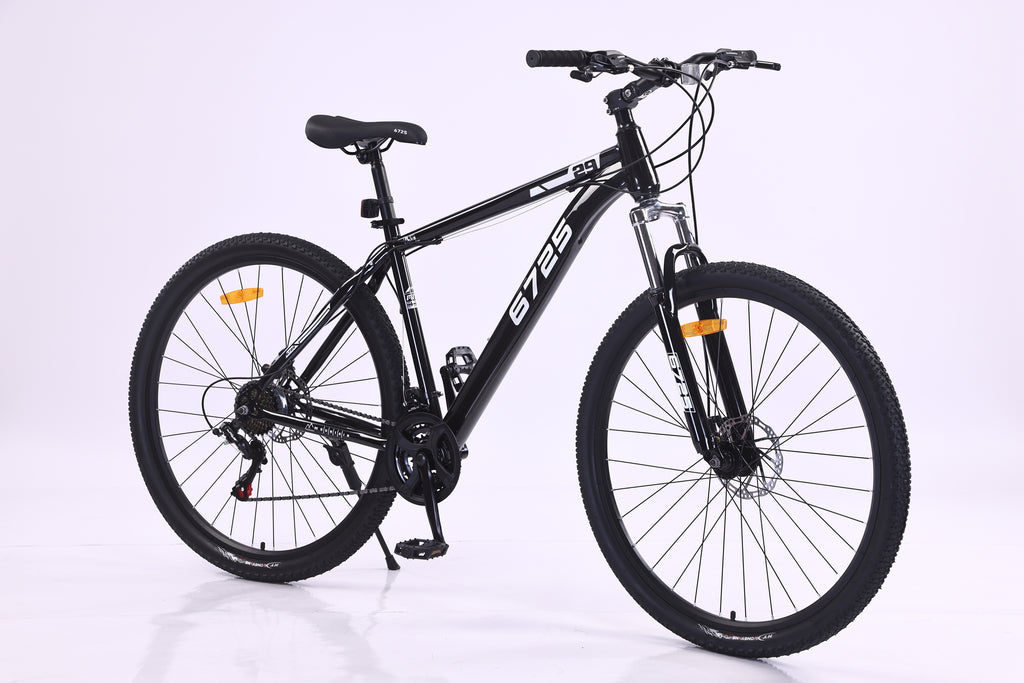 6725 29-Inch Mountain Bike