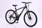 6725 29-Inch Mountain Bike