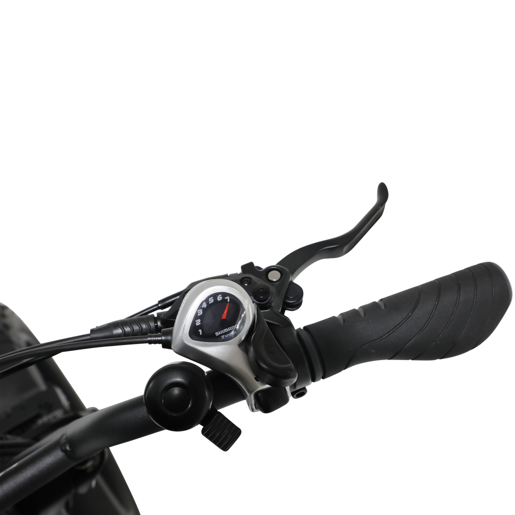 Fat Bandit Electric Bike