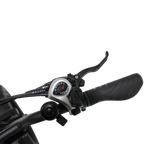 Fat Bandit Electric Bike