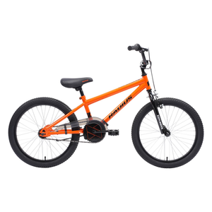 Radius Explosive 20-Inch Kids Bike