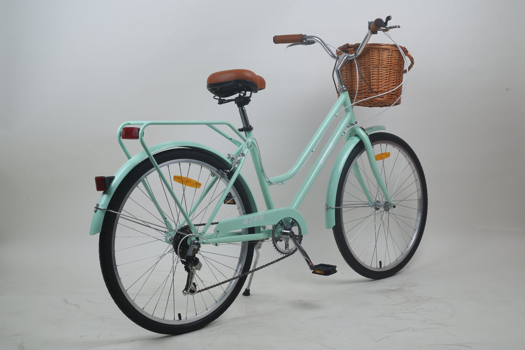 Ladies Cruiser Bike rear cargo rack and comfortable saddle
