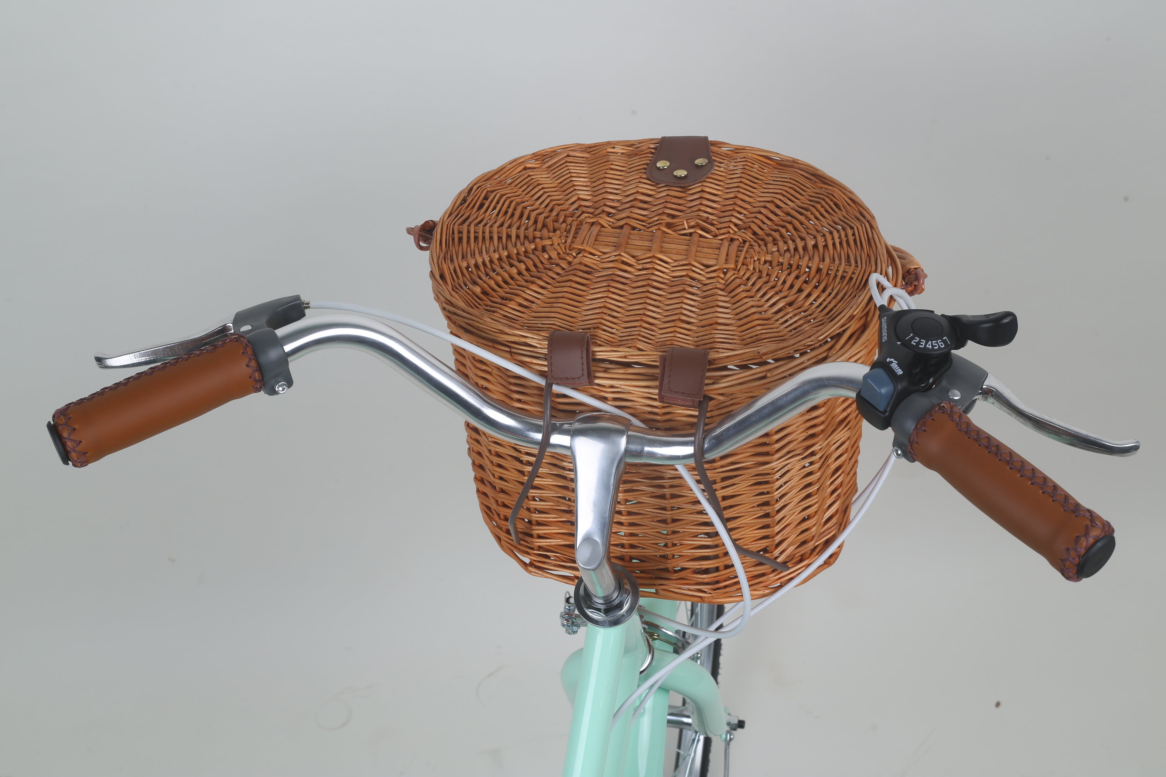 Ladies Cruiser Bike