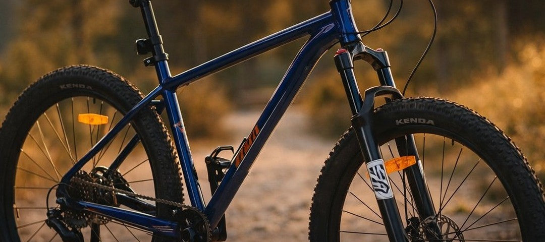 Air fork · hydraulic disc