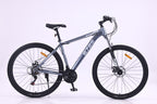 6725 29-Inch Mountain Bike