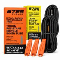 6725 Thorn Resistant Bike Tube